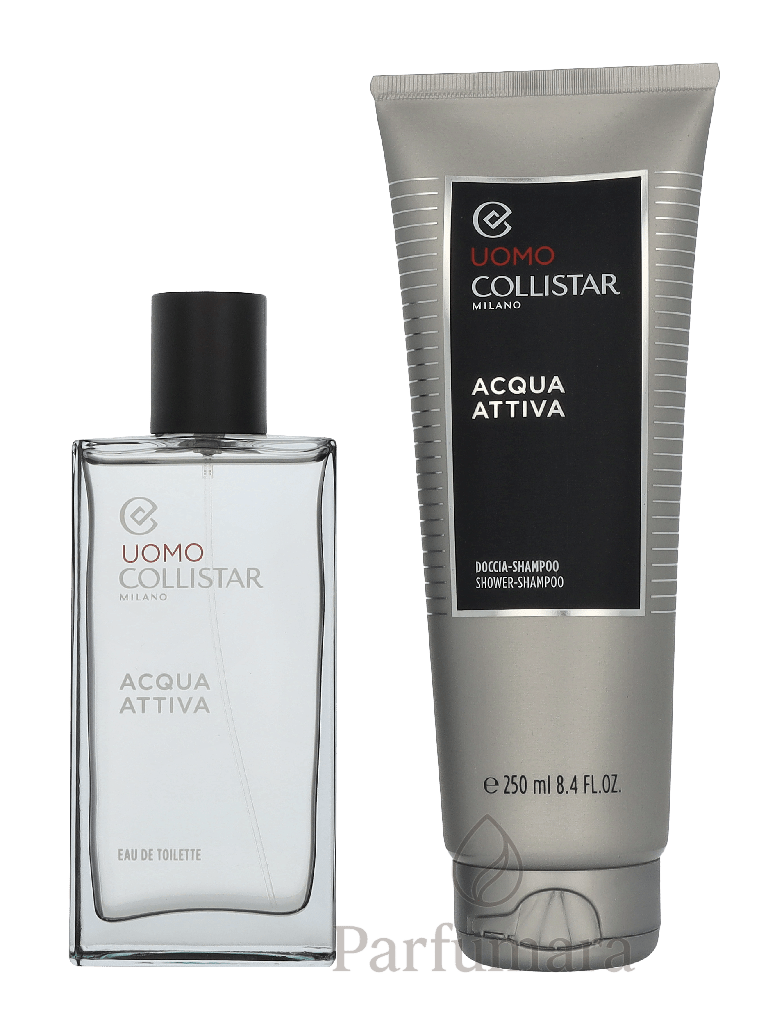 Collistar Uomo Acqua Attiva Geschenkset Acqua Attiva Eau de Toilette 100 ml / Acqua Attiva Shampoo 250 ml 350 ml