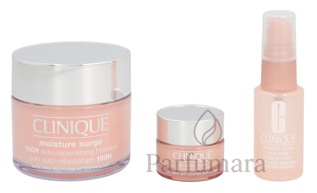Clinique Moisture Surge Set Moisture Surge 100H 125ml/All About Eyes 15ml/Moisture Surge Face Spray 30ml 170 ml