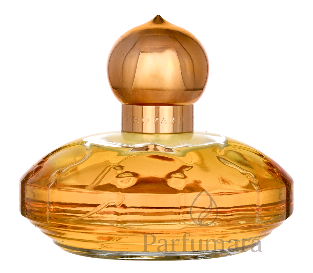 P-F1-303-01