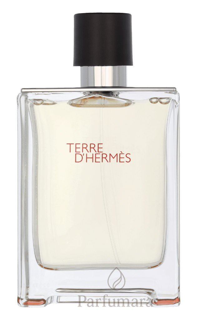Hermes Terre D'Hermes Edt Spray 100 ml