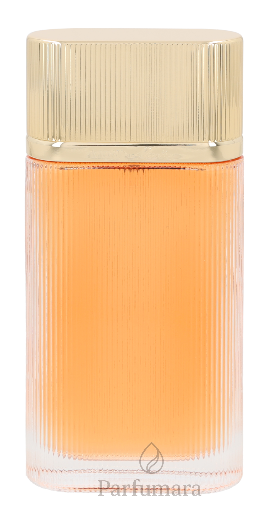 P-Y4-404-B1