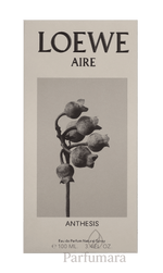 Loewe Aire Anthesis Eau de Parfum 100 ml