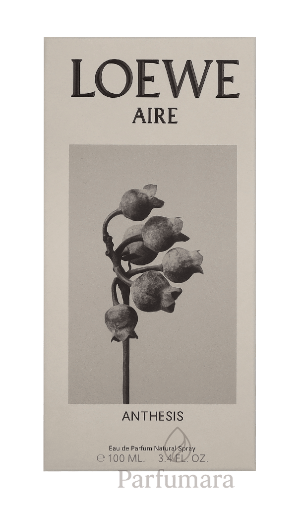 Loewe Aire Anthesis Eau de Parfum 100 ml