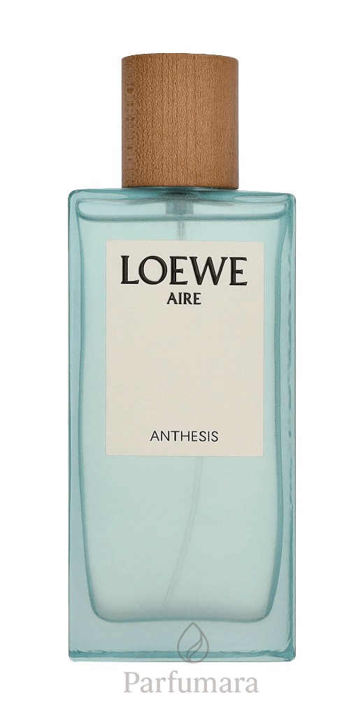 Loewe Aire Anthesis Eau de Parfum 100 ml