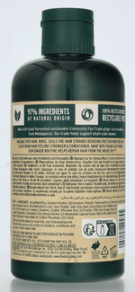 The Body Shop Conditioner Ginger 250 ml