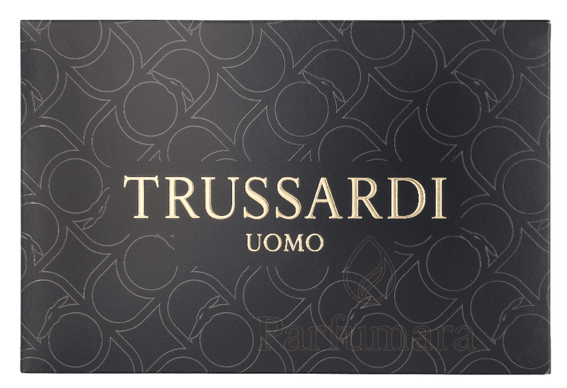 Trussardi Uomo Geschenkset Eau de Toilette 100ml/Shampoo & Shower Gel 100ml/Beauty Bag 200 ml