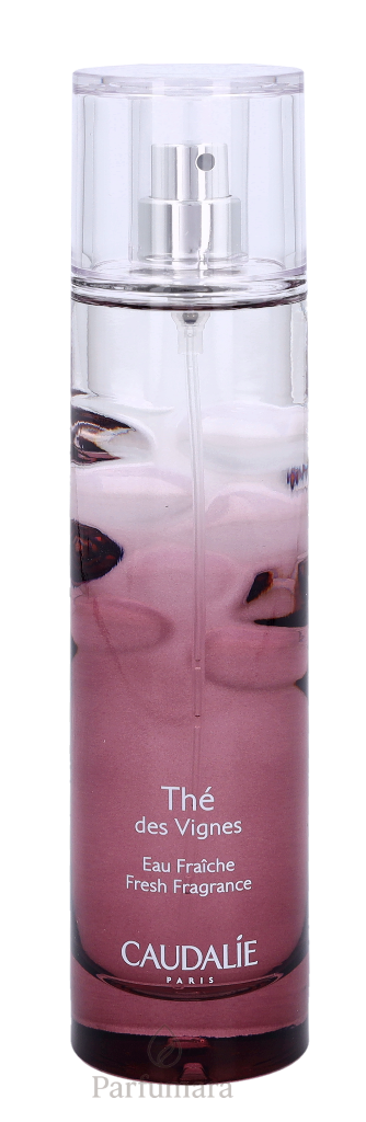 C-C1-041-02