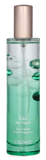 C-C1-064-01