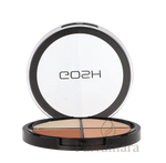 C-GO-041-04