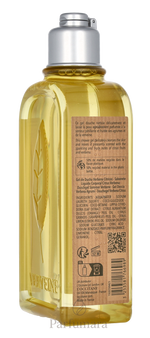 C-LO-389-B4