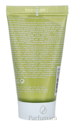 Origins Drink Up Intensive Overnight Hydrating Mask With Avocado & Swiss Glacier Water 30 ml