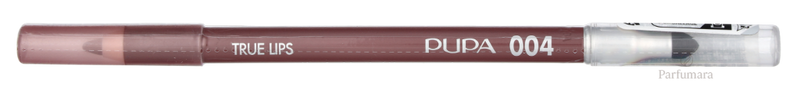 C-PM-041-01