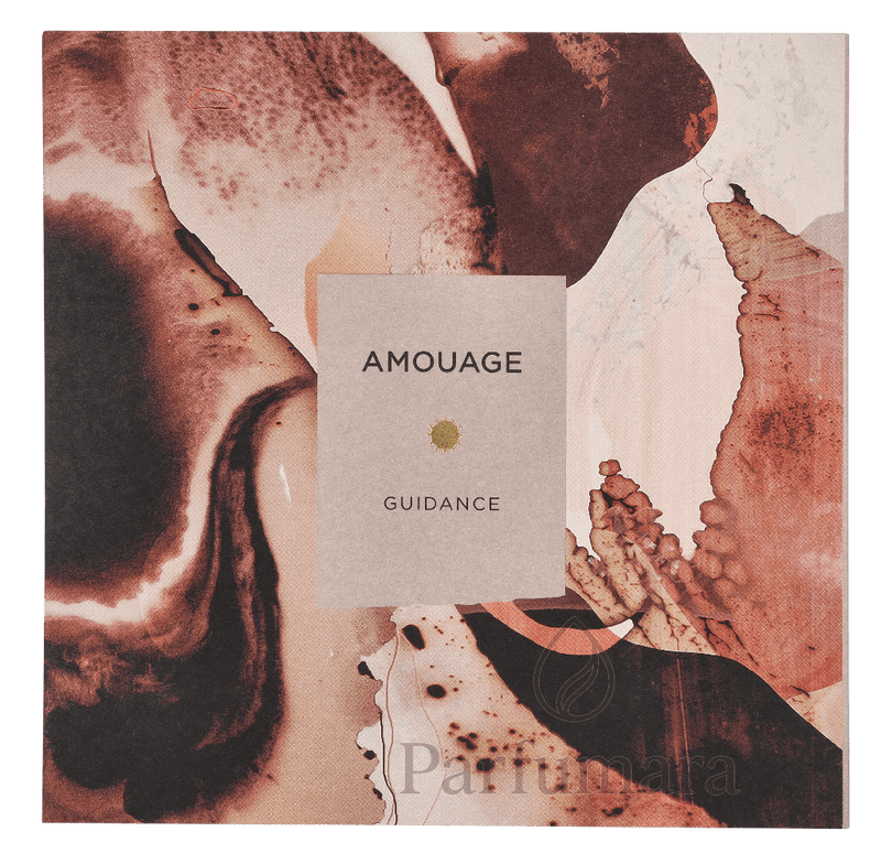 Amouage Guidance Eau de Parfum 100 ml