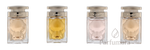 M-CT-002-01