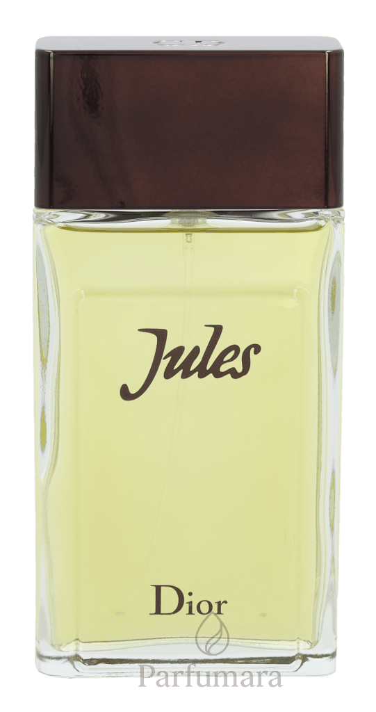 Dior Jules Eau de Toilette 100 ml