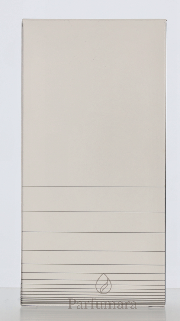 P-CI-404-B1