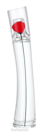 P-KF-303-03