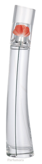 P-KF-404-03