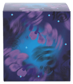 Britney Spears Midnight Fantasy Eau de Parfum 30 ml