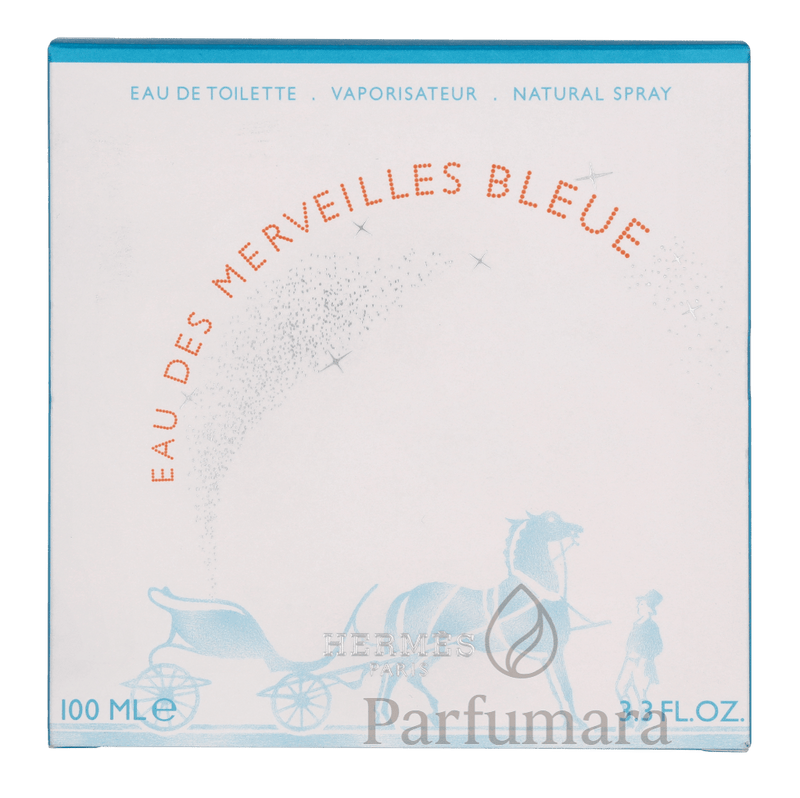Hermes Eau Des Merveilles Bleue Eau de Toilette 100 ml