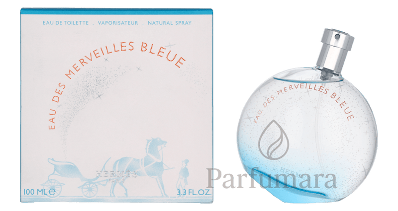 Hermes Eau Des Merveilles Bleue Eau de Toilette 100 ml