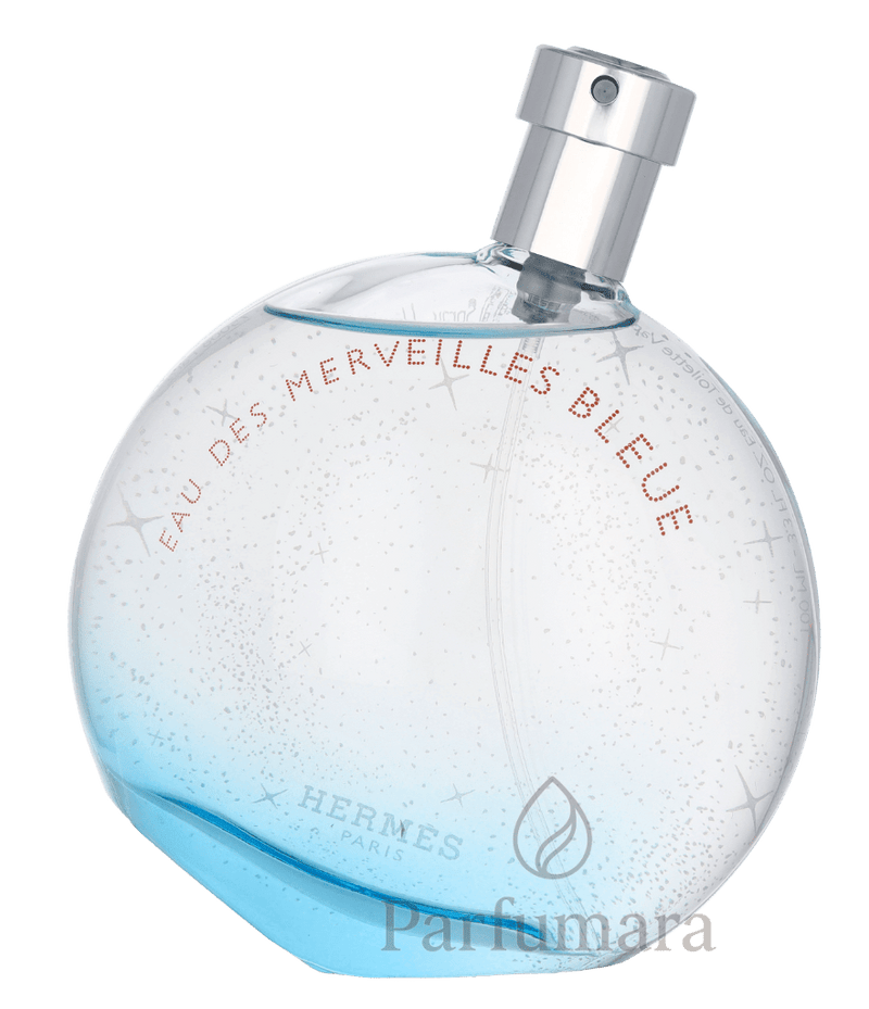 Hermes Eau Des Merveilles Bleue Eau de Toilette 100 ml