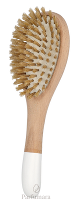 S-BC-009-01