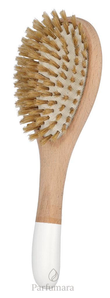 S-BC-009-01