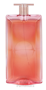 U-Z7-303-B1